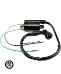 6V Ignition Coil Fit Kawasaki G5 G7 H1R H2 KE100 KE125 KE175 KM100 KZ200A. Fixed Price $18.99.