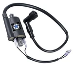 6V Ignition Coil For Suzuki TC185 TC250 TC305 TC350 TS50 TS75 TS90 TS100 TS125. Fixed Price $15.99.
