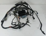 Harley-davidson Softail Standard Fxsti Main Wiring Harness 70431-04A. Fixed Price $119.00.