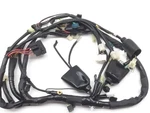 Main Engine Wiring Harness 2009-2017 Yamaha FZ6R 36P-82590-00-00. Fixed Price $169.44.
