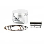 Oem Grade Piston Kit .50MM Over Suzuki LT230 LT-F250 Ozark 3402-423. Fixed Price $170.66.
