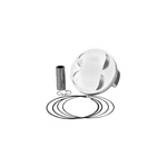 Vertex 4-STROKE Stock Bore, Piston, High Compression 24377A. Fixed Price $331.16.