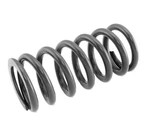 Race Tech Shock Spring 5.0KG SRSP632550. Fixed Price $137.99.