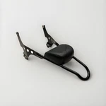 2009 2019 Harley-davidson Sportster 883 Rear Passenger Backrest Sissybar Oem. Fixed Price $245.00.