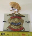 Harley-davidson Vintage Bellevue Police Sissy Bar Backrest Medallion Emblem Rare. Fixed Price $199.99.