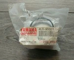 4L0-W0057-00 Yamaha Brake Caliper Piston Kit. Fixed Price $94.18.
