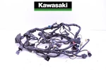 #644 Chassis Electrical Wire Harness Kawasaki Versys X Abs KLE300 2021-2023. Fixed Price $129.99.