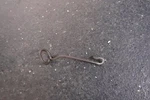Honda CB1100 CB550 CB650 CB750 CB900 CX500 GL1100 Speedometer Cable Guide Clamp. Fixed Price $20.00.