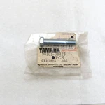 Yamaha Oem Footpeg Footrest Pivot Bolt 90101-08428-00. Fixed Price $11.99.