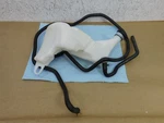 2018 Triumph Bonneville T120 Coolant Recovery Expansion Tank Reservoir & Hose. Fixed Price $49.99.