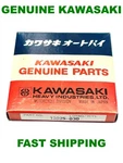 Oem Kawasaki F8 F11 250 .20 Oversize Piston Set 13025-030 Fast Ship. Fixed Price $59.00.