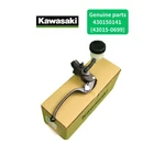 Kawasaki Oem Front Brake Master Cylinder 43015-0699 / 43015-0141 From Japan. Fixed Price $249.90.