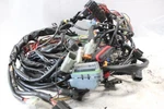 70245-06 Road King Main Wiring Harness Efi Harley Davidson. Fixed Price $200.00.