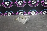 2004 Honda 04-05 CRF250X Oem Engine Motor Mount Stay Brackets 50407-KSC-000. Fixed Price $44.99.