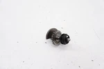 2026 Ktm 350 Sx-f Balancer Shaft Oem Water Pump Impeller 250 Fc Sxf Xcf. Fixed Price $93.10.