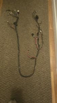 Oem Yamaha Wire Harness Razz 50CC 1996-2001 3EP-82590-00-00. Fixed Price $29.99.