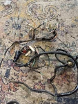 1985 Honda Spree NQ50 Wiring Harness Complete Oem. Fixed Price $25.00.