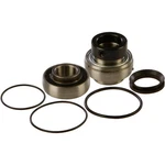Balls Chain Case Bearing & Seal Kit 14-1007. Fixed Price $51.25.