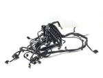 Main Engine Wiring Harness 2007 Harley-davidson Softail Standard Fxst 3156. Fixed Price $282.44.
