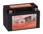 Honda Fat Cat TR200 1986 Battery (replacement). Fixed Price $23.99.
