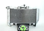 2025 24 Kawasaki Ninja EX500 Radiator Good Fan Coolant Cap 308853 Original. Fixed Price $185.99.