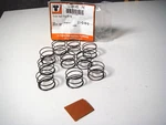 Harley Pinion Shaft Springs El 36-90 Fl 41-69 Ul 37-48 V-twin 13-0105 F3. Fixed Price $24.29.