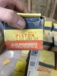 New Genuine Kawasaki Oem Z1 KZ900 Piston,std 13001-054. Fixed Price $45.00.
