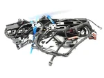 New Genuine Harley Davidson 69201125A Main Wiring Wire Harness. Fixed Price $1275.00.
