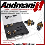 Andreani Compression Rebound Fork Pistons Triumph Speed Triple 2012. Fixed Price $264.00.