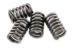 Ebc Clutch Springs Fits: Suzuki TU250X,GS850GL,GS1100E,GS1100ES,GS1100G,GS750E. Fixed Price $15.37.