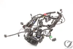 2021 Bmw Main Wire Harness Loom No Cuts. Fixed Price $61.95.