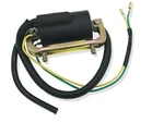 6V Ignition Coil Dual Lead Single Output For Honda C105T CA200 CT200 CT90. Fixed Price $22.99.