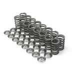 Brian Crower Valve Spring Titanium Retainer Kit For Mitsubishi 4G63 Eclipse Evo. Fixed Price $305.55.
