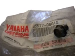 Nos Yamaha Electrical Flange Bolt 03 YZ125 & YZ250 YZ450 95817-06010. Fixed Price $17.98.