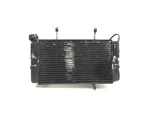 Radiator Cooling Front Fluid With Fan 2003 Suzuki Vstrom DL1000 3379 X. Fixed Price $84.69.