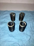 2007-2008 Kawasaki ZX6R Intake Exhaust Spring. Fixed Price $25.00.