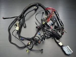 Harley Davidson Sportster XL1200C Oem Main Wiring Harness Genuine. Fixed Price $237.41.