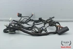2006 Harley V-rod Night Vrscd Main Wire Wiring Harness 70125-06 Video #4122. Fixed Price $194.44.