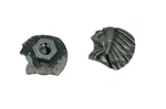 Indian Motorcycle Headdress Design License Plate Bolts - Custom Motorbike Parts. Fixed Price $14.14.