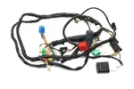 2013 Suzuki DR200 Oem Wire Harness 36610-42A50. Fixed Price $75.00.