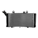 Radiator Cooler Cooling Fit For Bmw F850GS 2019-2024 Adventure. Fixed Price $249.99.