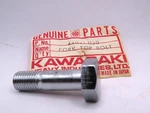 Nos Kawasaki G3SS G3TR KH100 1969-1970 Genuine Fork Top Bolt 44041-020. Fixed Price $9.99.