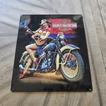 Harley Davidson Playing Around Babe Metal Sign By Ande Rooney 2009. Fixed Price $25.00.