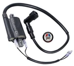Ignition Coil +wire Fits Kawasaki KD80 KD100 KD125 KD175. Fixed Price $18.99.
