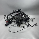 Bmw F900R Main Engine Harness 2020 2021 2022 2023 2024 Oem 1692821. Fixed Price $299.00.