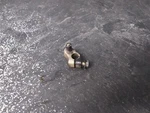 80-83 Honda Gear Select Arm Assembly # 24711-461-000. Fixed Price $9.95.