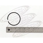 Yamaha Oem Piston Ring 1ST 313-11611-10-00 Genuine Part For Engine Repair. Fixed Price $62.30.