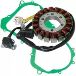 Stator & Gasket For Arctic Cat 300 2X4 4X4 1998-2004. Fixed Price $112.49.