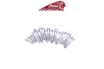 #543 Left Engine Stator Cover Bolt Set Indian Scout Bobber 2021-2024. Fixed Price $19.99.