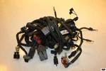 2018 Harley-davidson Street Xg 500 Main Engine Wiring Harness Motor Wire Loom. Fixed Price $71.99.